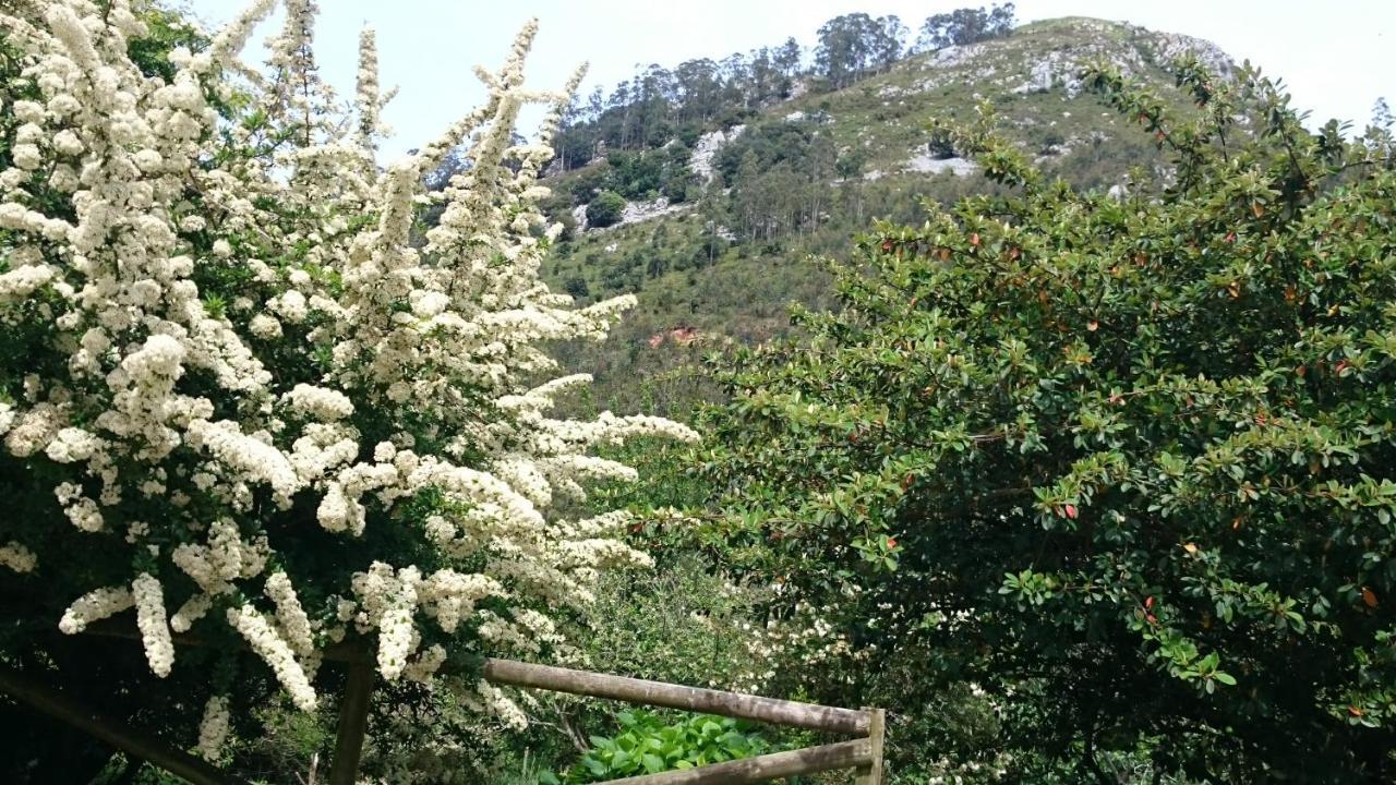 Los Acebos De Pena Cabarga, Junto Al Parque De Cabarceno Apartamento Sobremazas Exterior foto