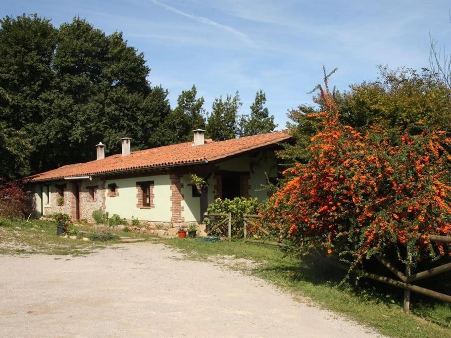 Los Acebos De Pena Cabarga, Junto Al Parque De Cabarceno Apartamento Sobremazas Exterior foto