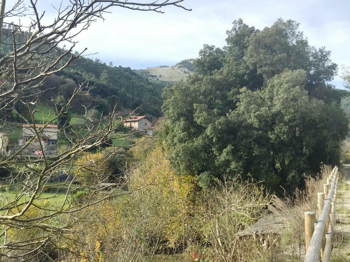 Los Acebos De Pena Cabarga, Junto Al Parque De Cabarceno Apartamento Sobremazas Exterior foto